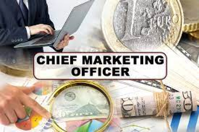 Chief Marketing Officer (CMO): Pengertian, Tugas, Wewenang, dan Kualifikasi