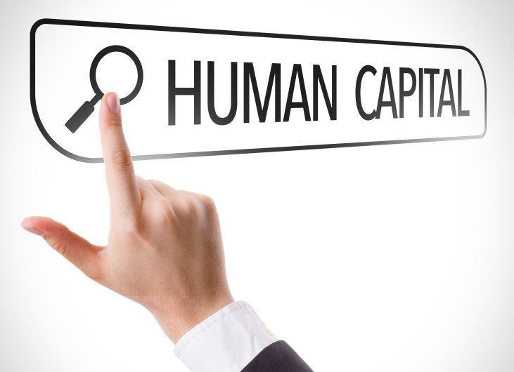 Human Capital Adalah : Pengertian, Fungsi, Jenis, dan Contoh - Contohnya