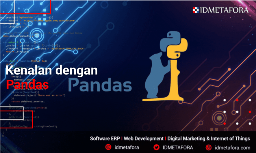 Mengenal  Pandas Dalam Pyhton, Simak Penjelasan Berikut!