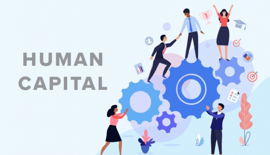 Mengenal Lebih Dalam Human Capital Management: Pengertian, Tanggung Jawab, dan Manfaatnya