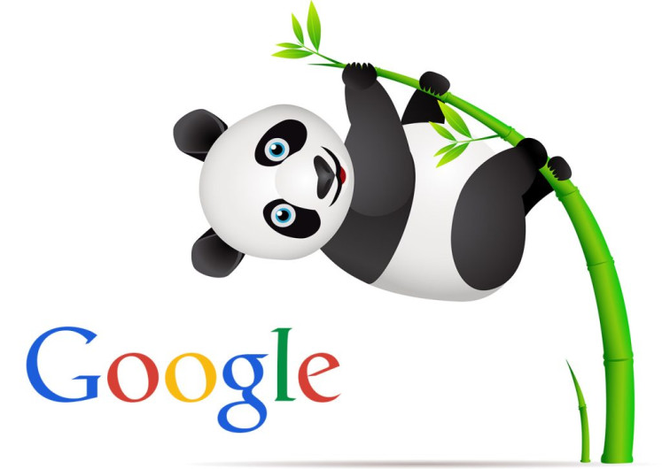 Yuk, Kenali Apa Itu Google Panda! Bantu SEO Website Menjadi Maksimal